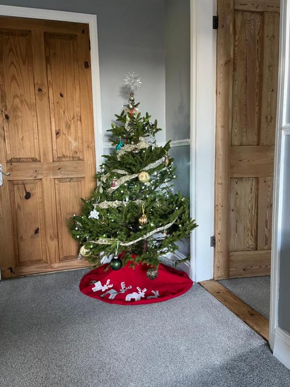 un albero di Natale su un tappeto rosso in una stanza di Apartment 288 a Lower Swanwick