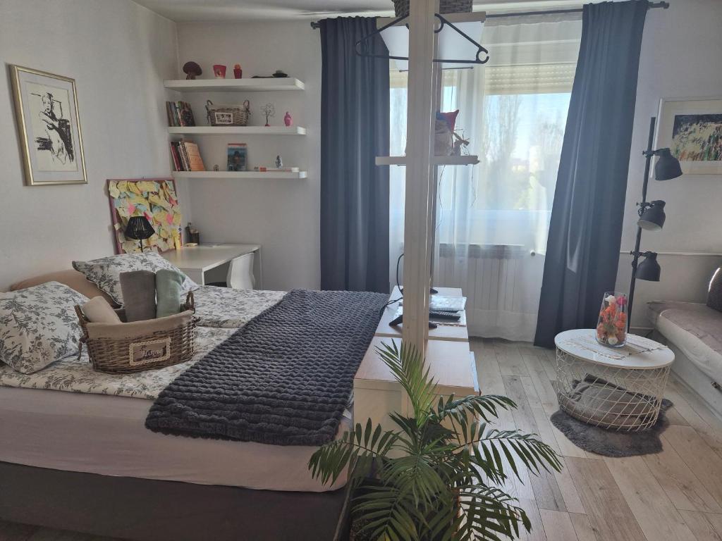 New Studio Apartment Sun with free parking - 18