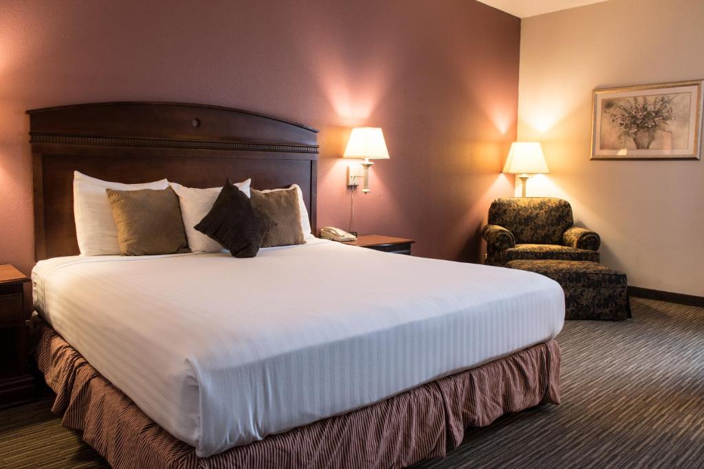 Greenstay Hotel & Suites Central - Estúdio Deluxe Com Cama King-size
