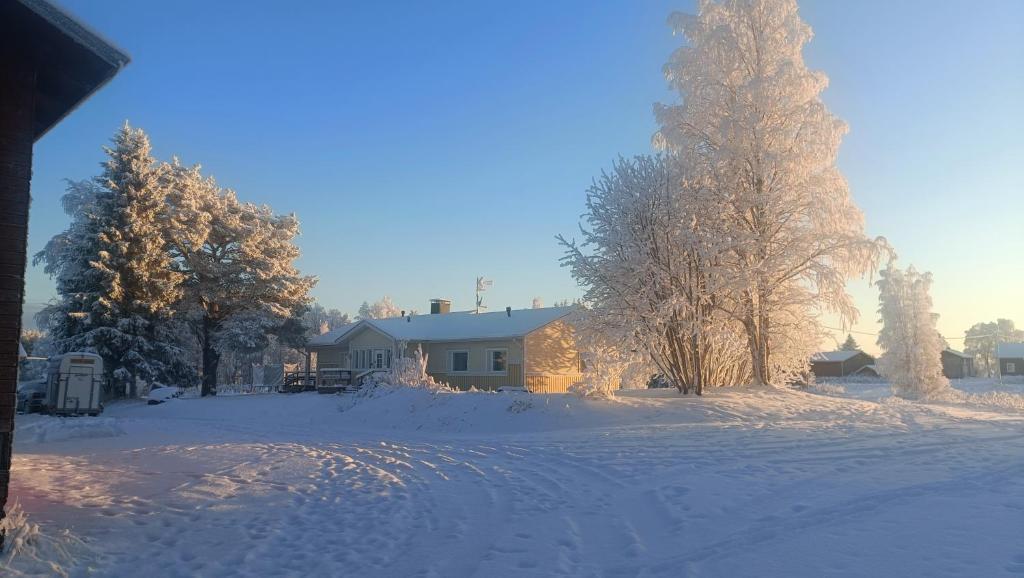 una casa in un cortile ricoperto di neve con alberi di Farmarintupa a Portimo