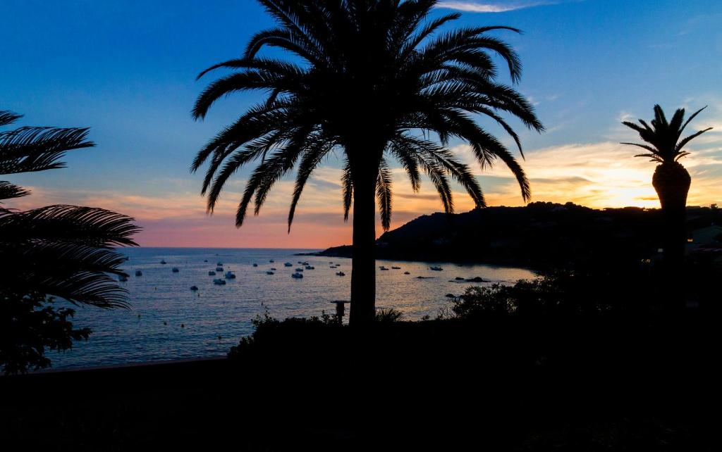 a palm tree in front of the ocean at sunset at Résidence Villa Nova in Tiuccia