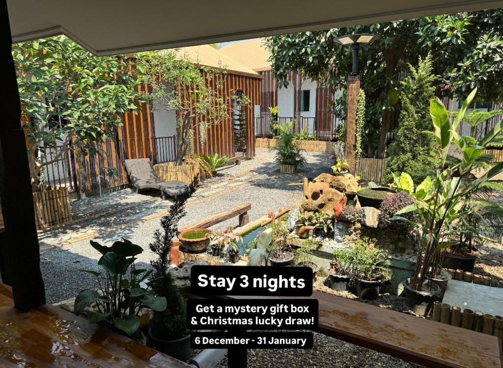 Proud Chiang Mai Poshtel في شيانغ ماي: عرض لحديقة بها نباتات وأشجار