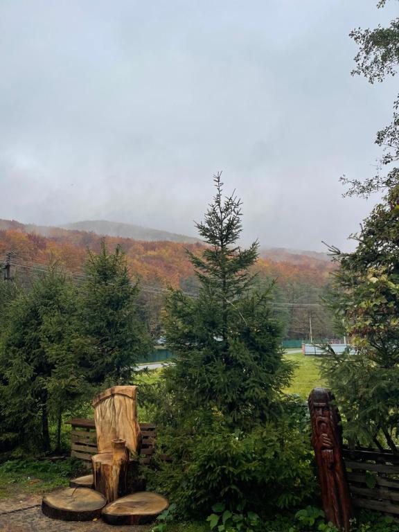 a tree stump sitting next to a bench in a field at FoRResT in Chynadiyovo