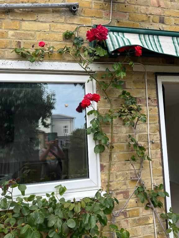 a window on a brick building with red roses at Sea Rose ,Broadstairs in Broadstairs