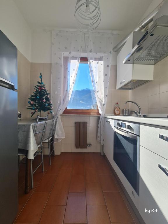 Pan Kit RoomS في أَويستا: مطبخ مع شجرة عيد الميلاد في النافذة