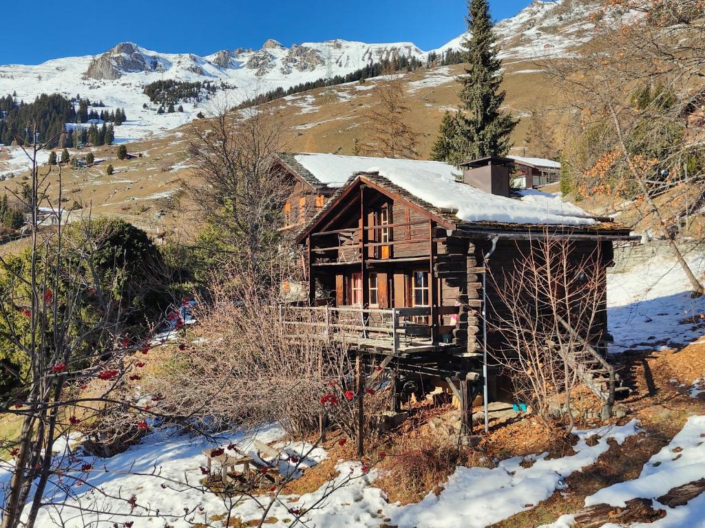 Φυσικό τοπίο κοντά σε αυτό το σαλέ