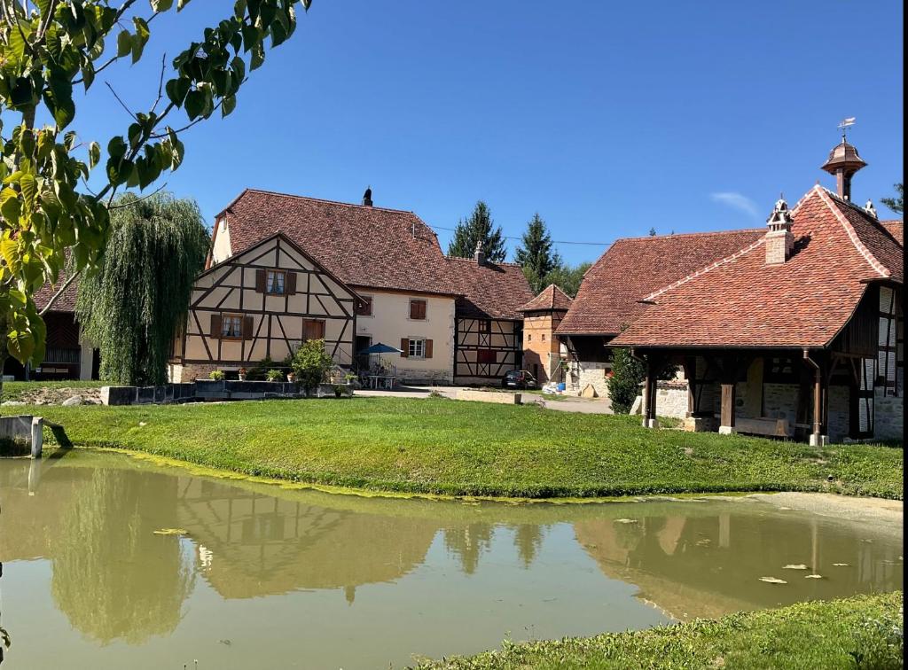un village avec un étang devant un bâtiment dans l'établissement Le Domaine de l Ill Domaine patrimonial unique en Alsace, 