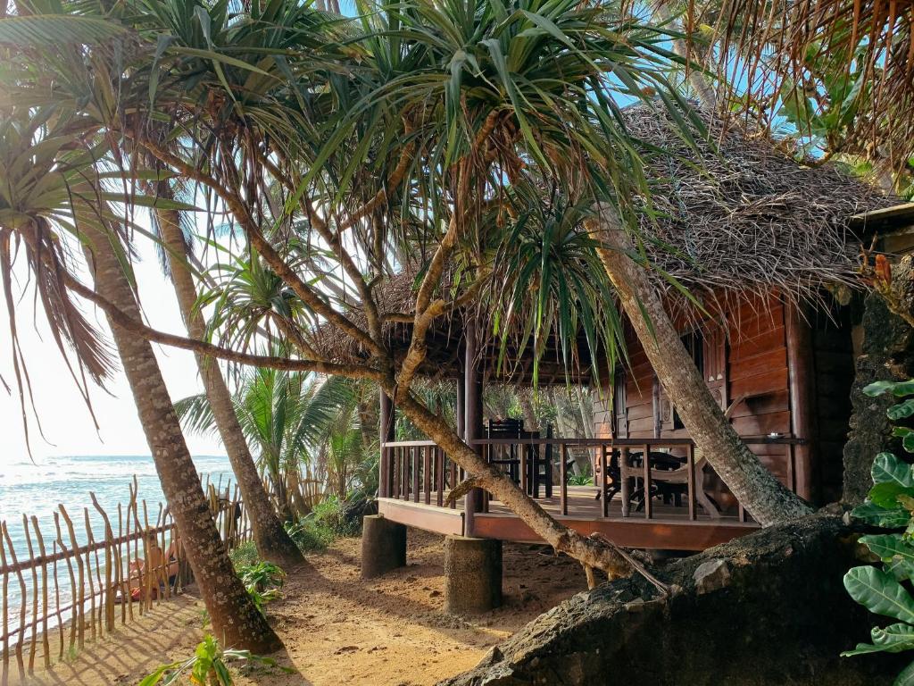 a house on the beach with palm trees at Galawatta Beach Resort in Unawatuna