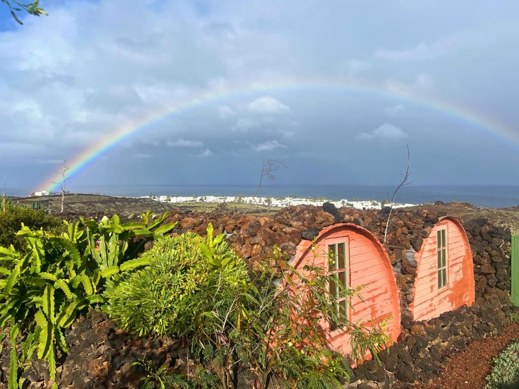 阿里亚The Secret Garden Lanzarote的背景中有一个橙色的棚子，棚子上有一道彩虹。