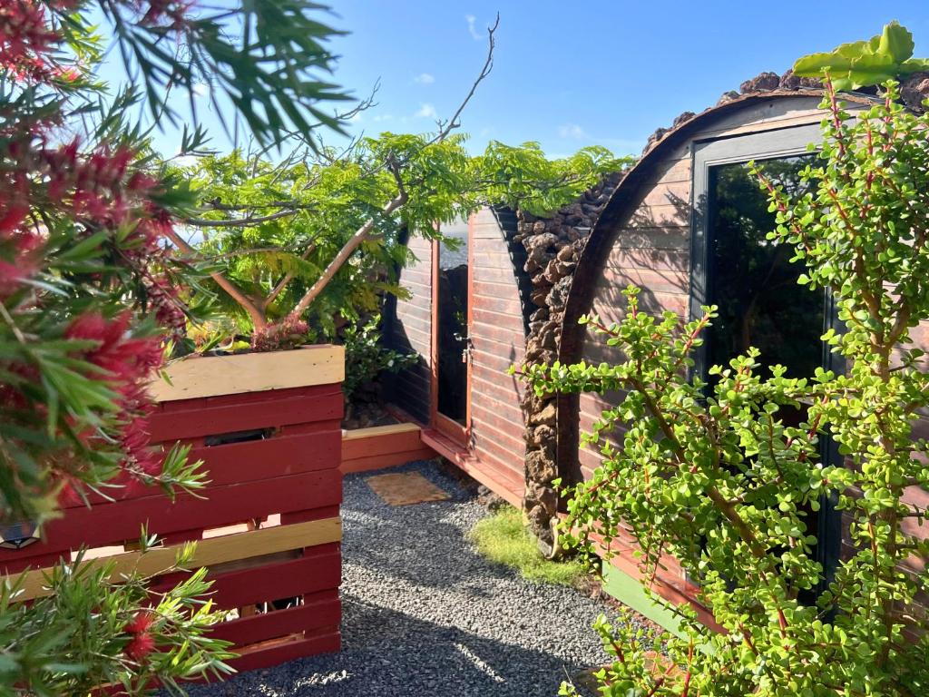 a garden entrance to a greenhouse with plants at The Secret Garden Lanzarote in Haría