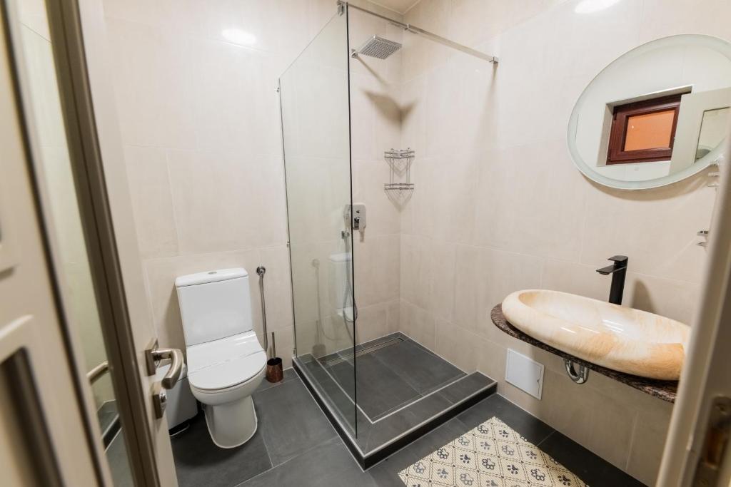 ein Badezimmer mit Dusche, Toilette und Waschbecken in der Unterkunft Popasul Vanatorului in Poiana Sabasa