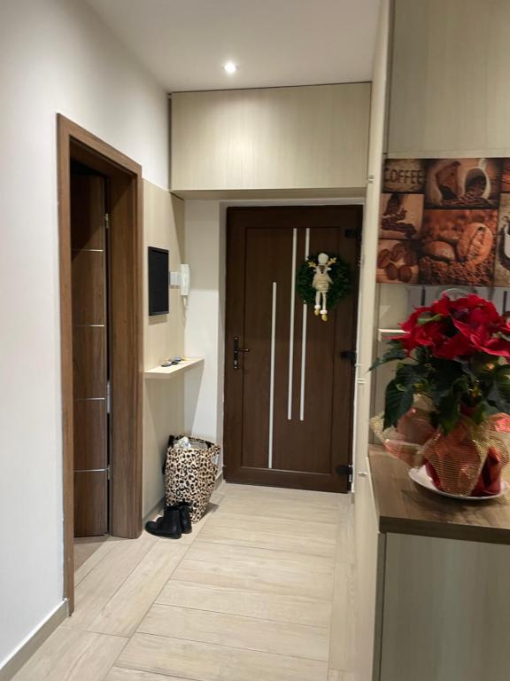 a hallway with a door with a plant on a counter at Nice Wellness Apartman in Siófok