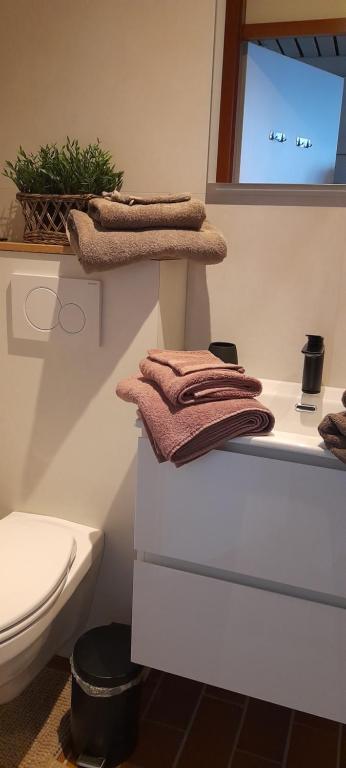 Somnium2 في بلانكنبرخ: حمام مع مرحاض ومناشف على رف