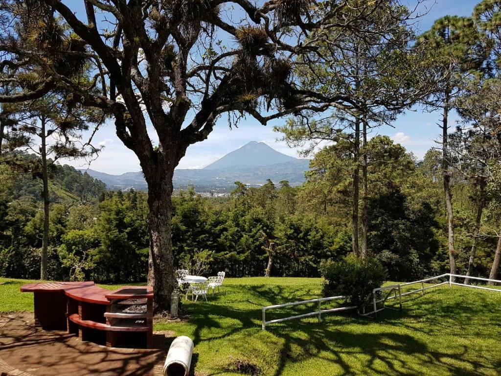 a picnic table under a tree with mountains in the background at Bosque Macadamia in El Tejar