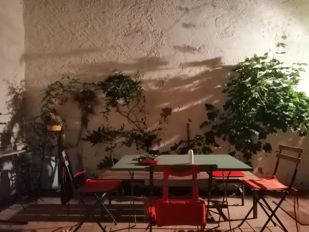 Perle rare appartement atypique centre ville