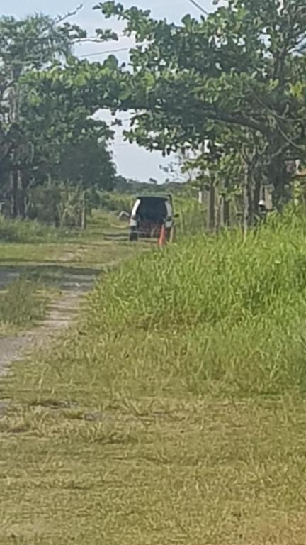 Animales en la casa de huéspedes o alrededores