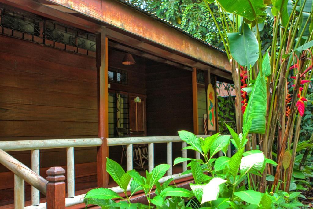 Jardín al aire libre en Pachira Lodge
