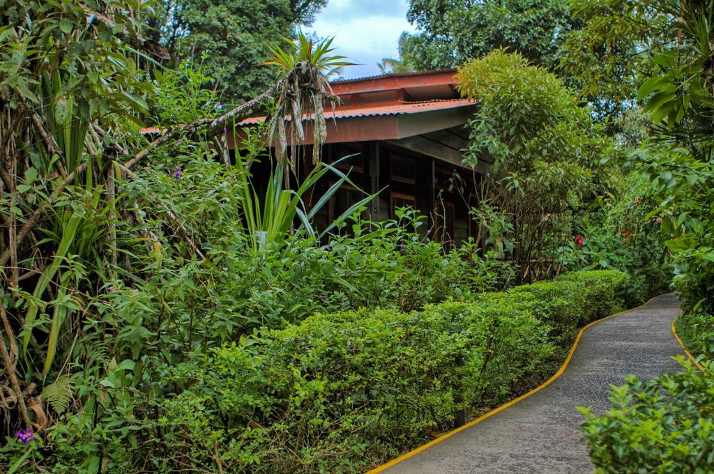 Jardín al aire libre en Pachira Lodge