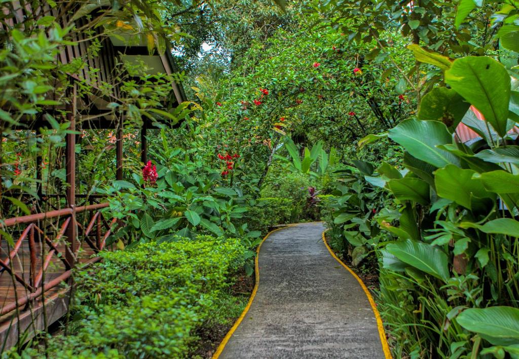 Jardín al aire libre en Pachira Lodge