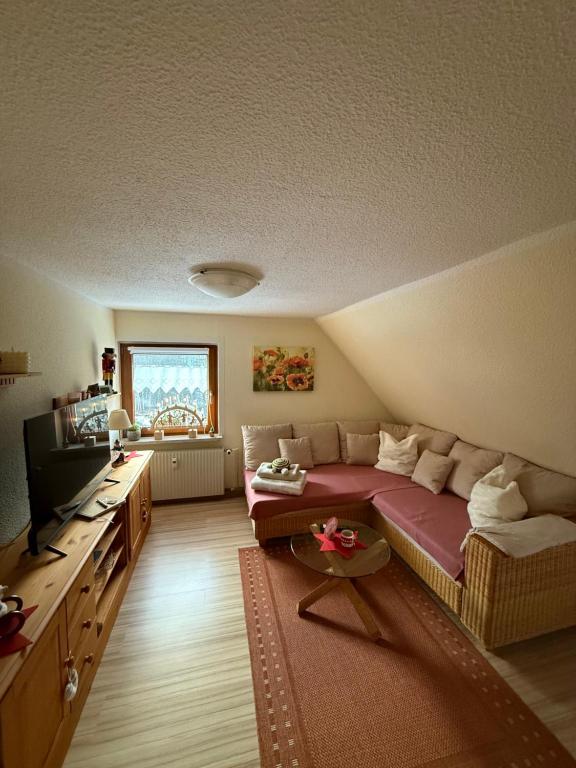 Ferienwohnung Hänel في Antonshöhe: غرفة معيشة مع أريكة وتلفزيون