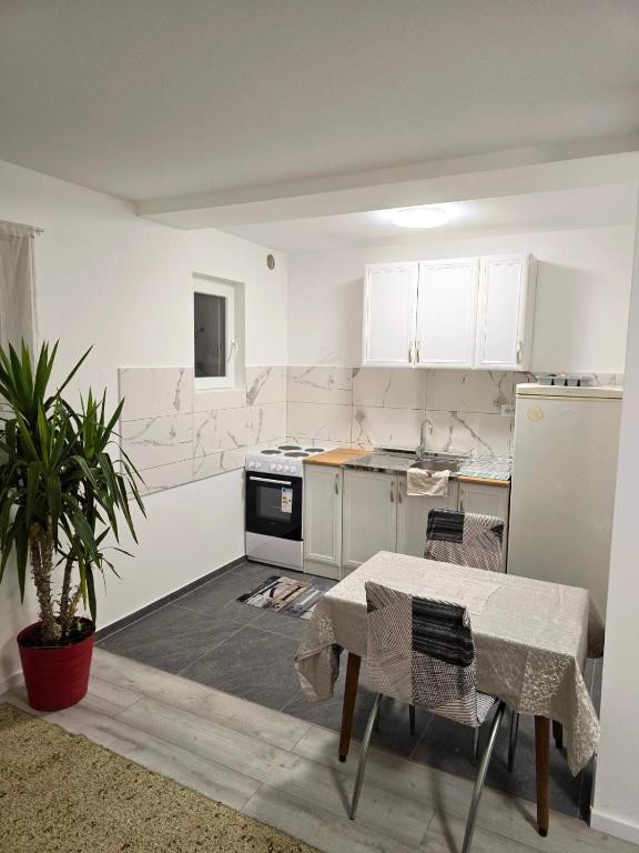 Kuchyň nebo kuchyňský kout v ubytování Apartman Keka