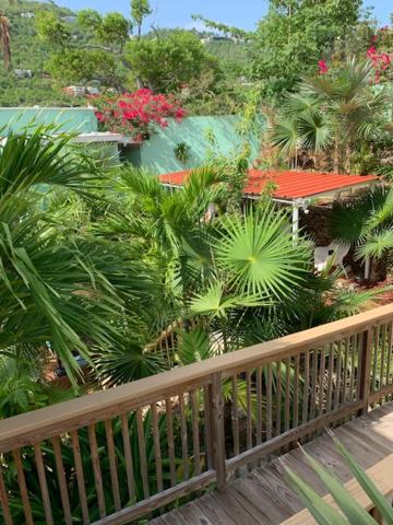 The Green Iguana Hotel photo