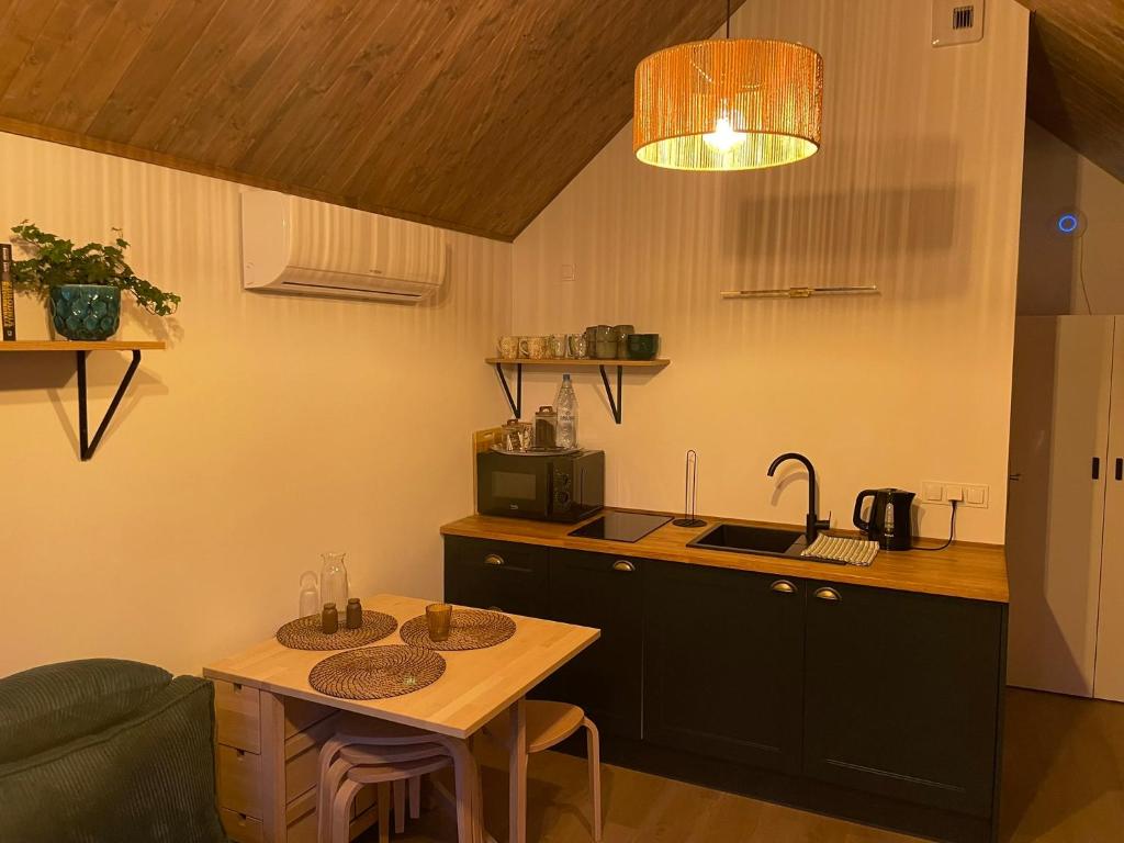 Køkken eller tekøkken på RiverHouse