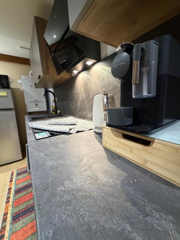 Magnolia, Appartement au centre ville de Colmar – photo 16
