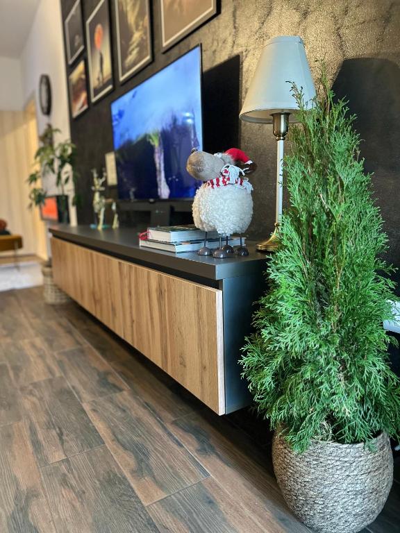 Apartman Viktorija - 11