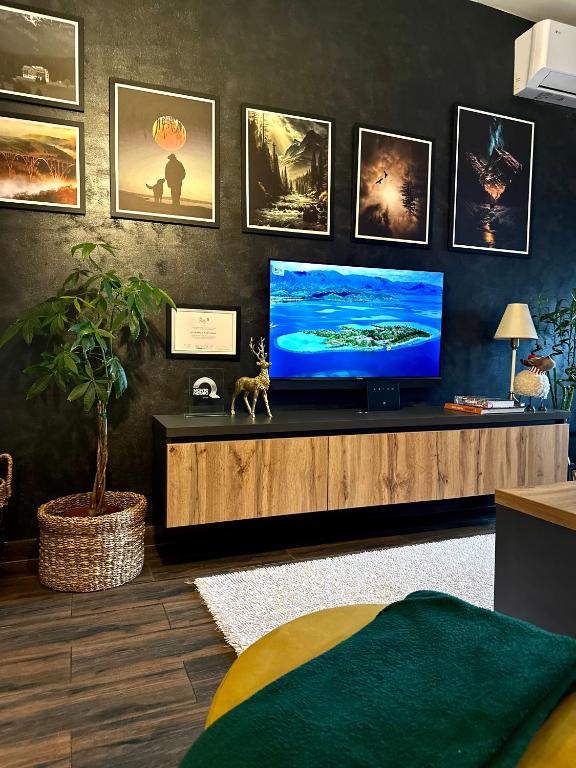 Apartman Viktorija - 10