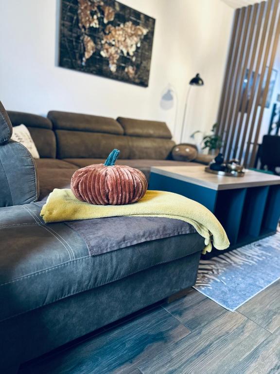 Apartman Viktorija - 8