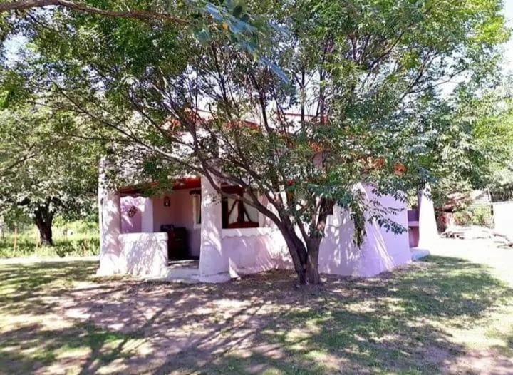 Vườn quanh Cabaña La Rosadita