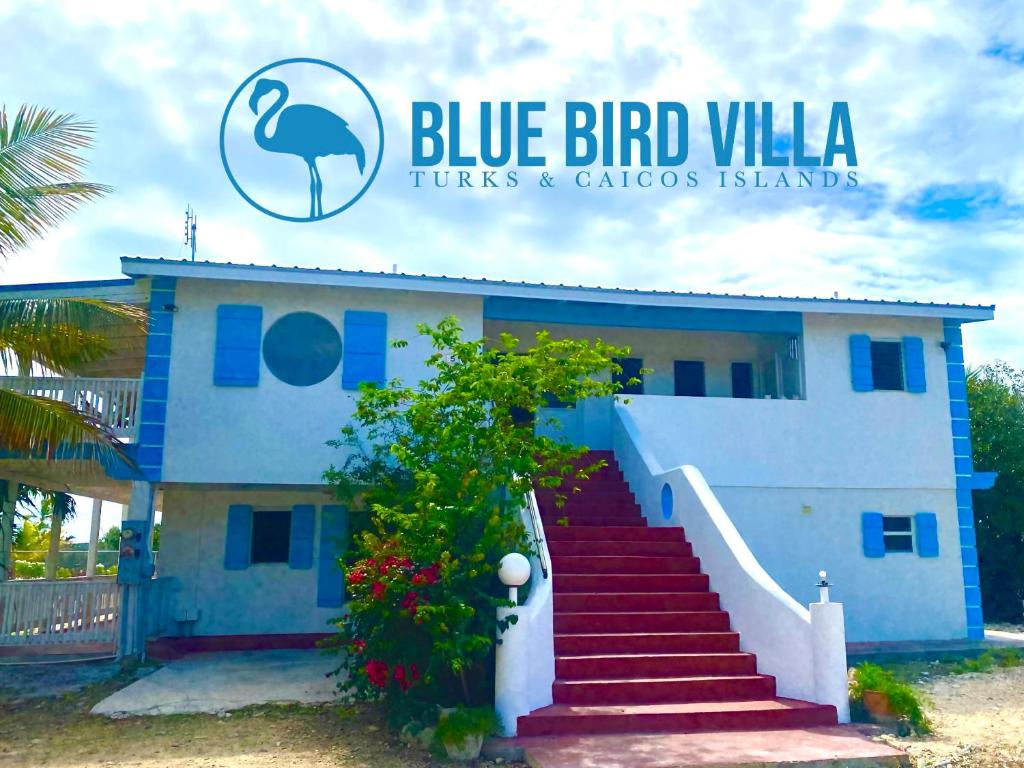 Una villa de pájaro azul con escaleras en frente. en Blue Bird Villa - Turks & Caicos, en Turtle Cove