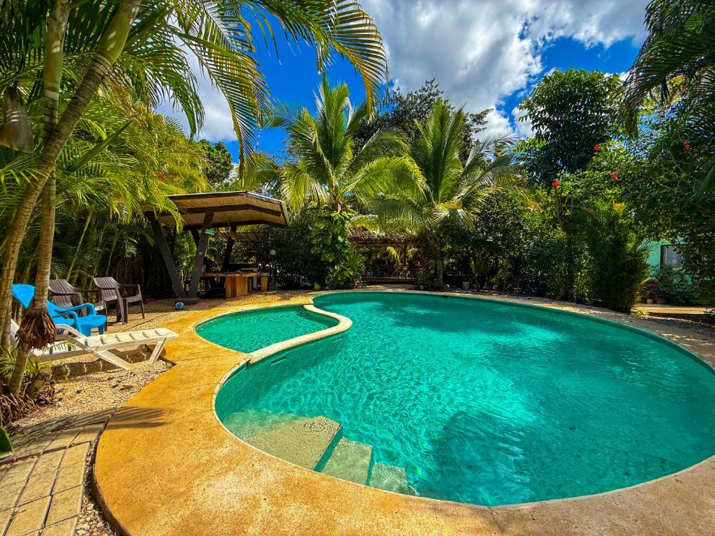 Πισίνα στο ή κοντά στο Selva Partners Tamarindo