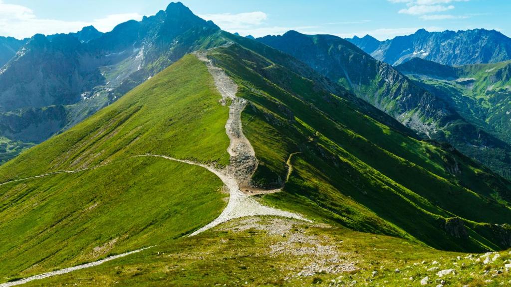 Фотография из галереи Motorcycle Inn в городе Кодак