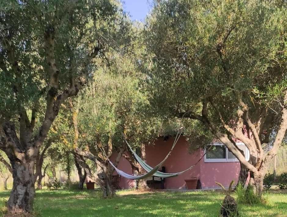 a hammock hanging between trees in front of a house at Lea's Studio in Kourouta