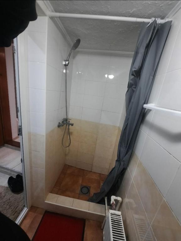 Home Centrum في كيشيناو: دش مع ستارة دش في الحمام