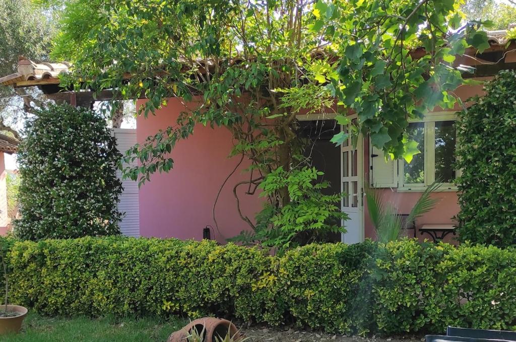 a pink house with a hedge in front of it at Lea's Apartment in Kourouta