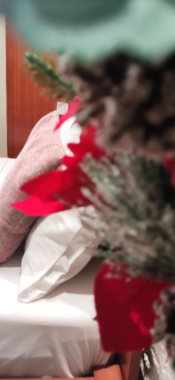 Fotografie z fotogalerie ubytování Chrysanty's tea house v destinaci Kalambaka