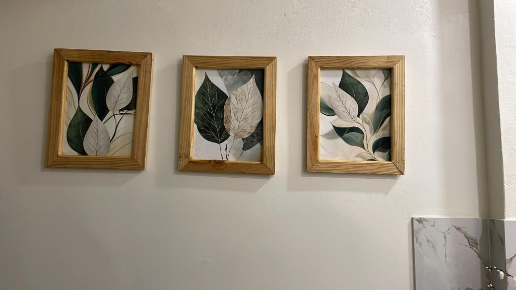 乔治敦Well Haven Apartments的墙上挂着三幅装裱好的树叶画