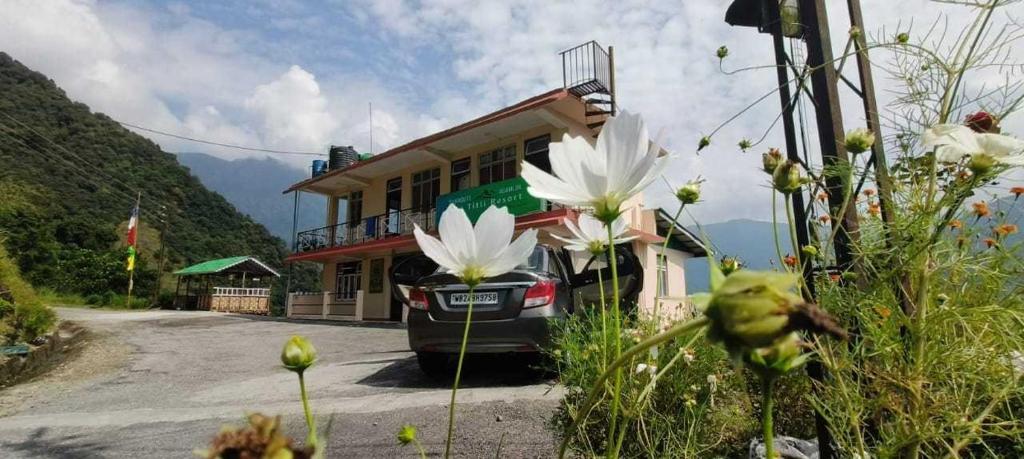 Природа в окрестностях отеля