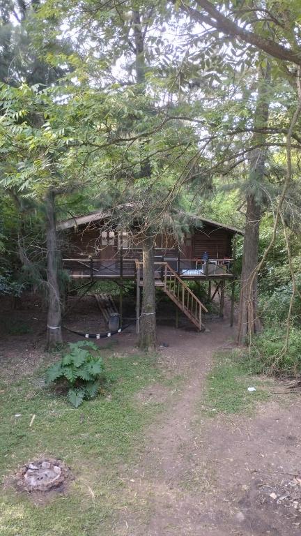 una baita nel bosco con alberi di Isla La Paz a Tigre