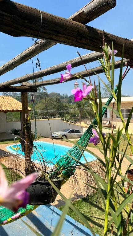 a view of a yard with a pool and flowers at Recanto Maria de Souza in Caçapava