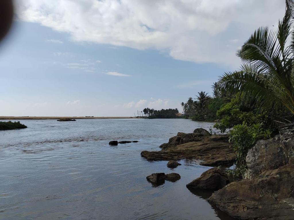 a body of water with rocks and palm trees at Gin River View Point in Gintota