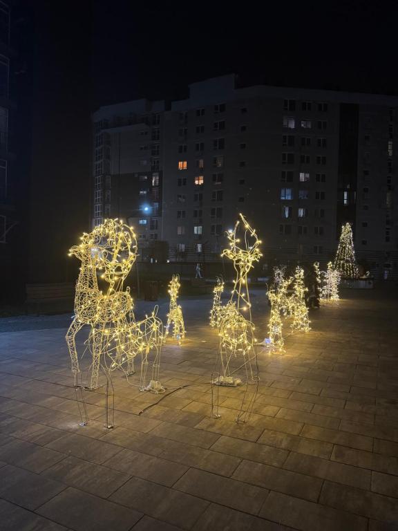 Фотография из галереи Центр Чернівці по добові апартаменти Воробкевича 31а, Водограй, Черемош Автовокзал в Черновцах