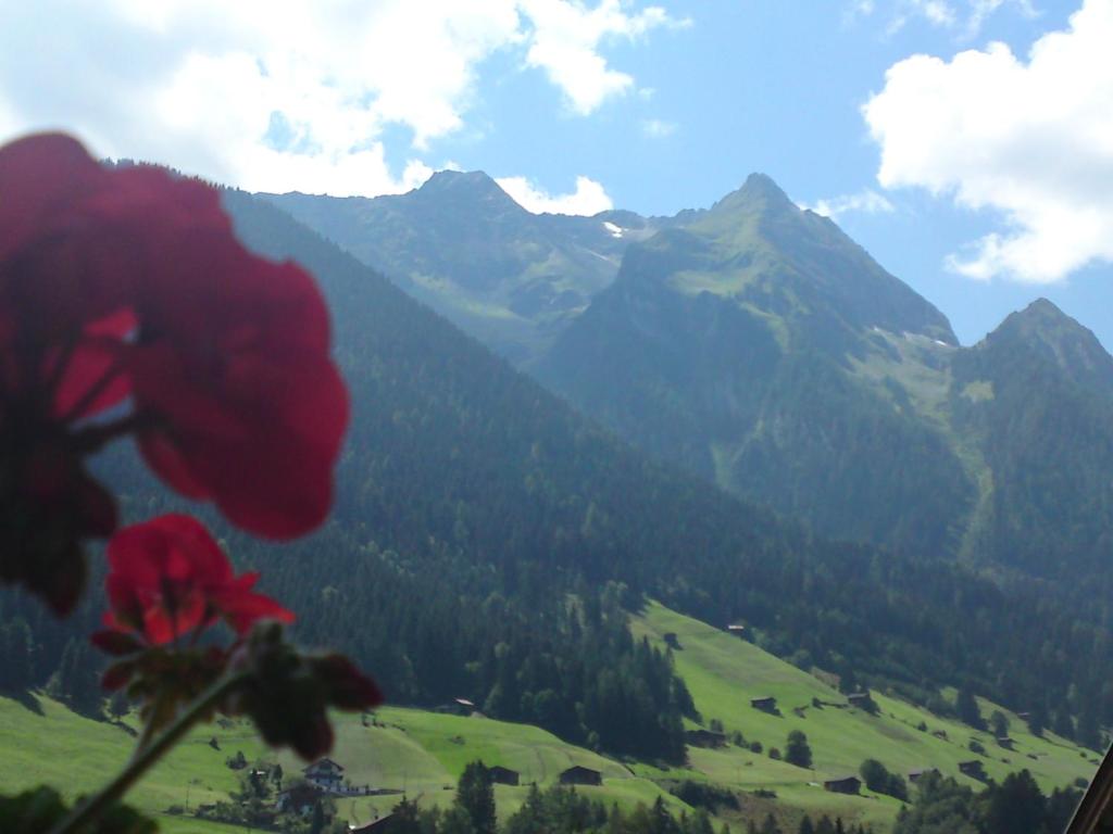 Superior Hotel Persal - 2