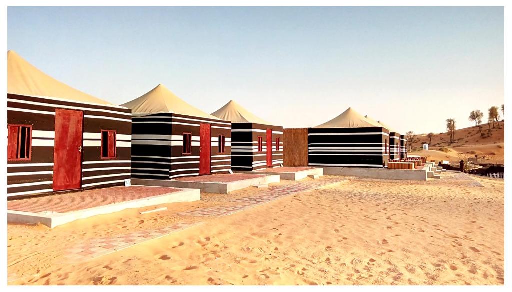 Bedouin Oasis Camp: Unforgettable Desert Adventure Awaits 6 Bedouin Oasis Camp: Unforgettable Desert Adventure Awaits