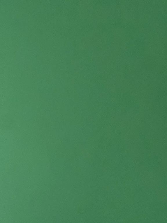 a green background with a plane flying in the sky at Hotel Swargalok in Pānigata