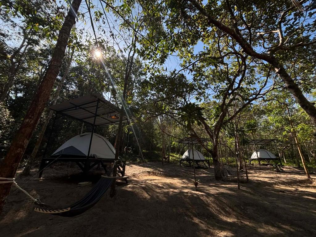 a swing set in a park with trees at Ko Kut Nature Camp in Ko Kood