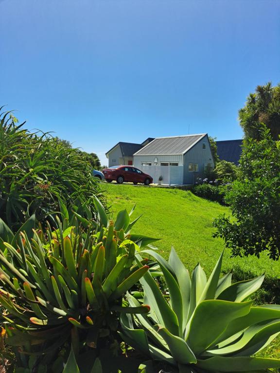 Vườn quanh Cathedral Cove Cottage